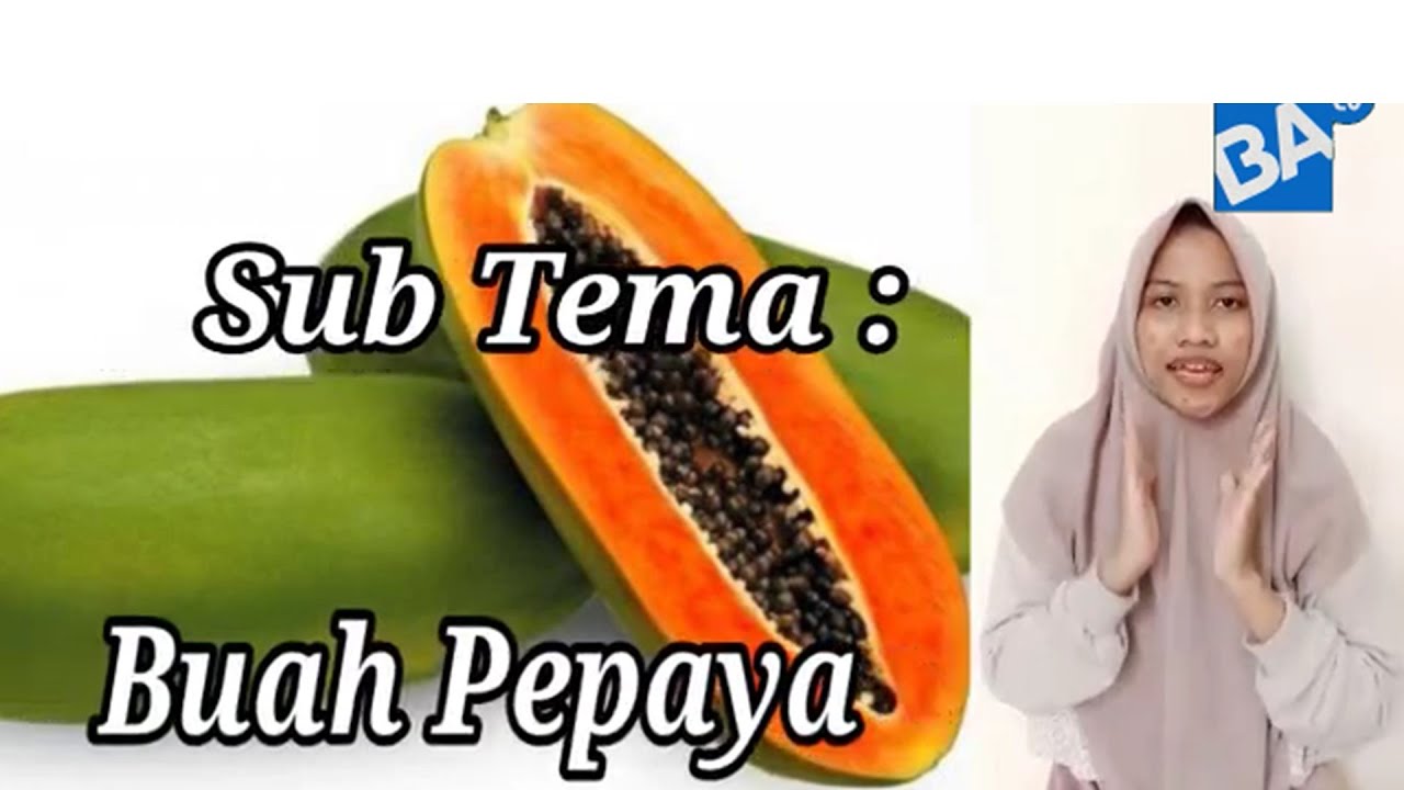 Detail Gambar Buah Pepaya Untuk Anak Tk Nomer 22