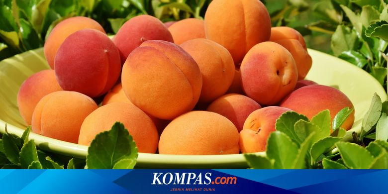 Detail Gambar Buah Persik Nomer 33