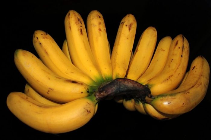 Detail Gambar Buah Pisang Yang Sudah Membusuk Nomer 15