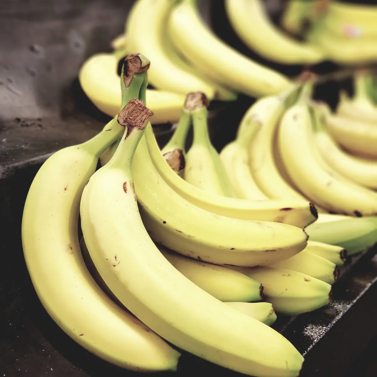 Detail Gambar Buah Pisang Yang Sudah Membusuk Nomer 21