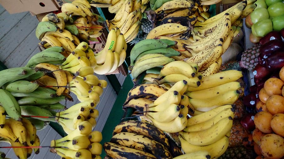 Detail Gambar Buah Pisang Yang Sudah Membusuk Nomer 38