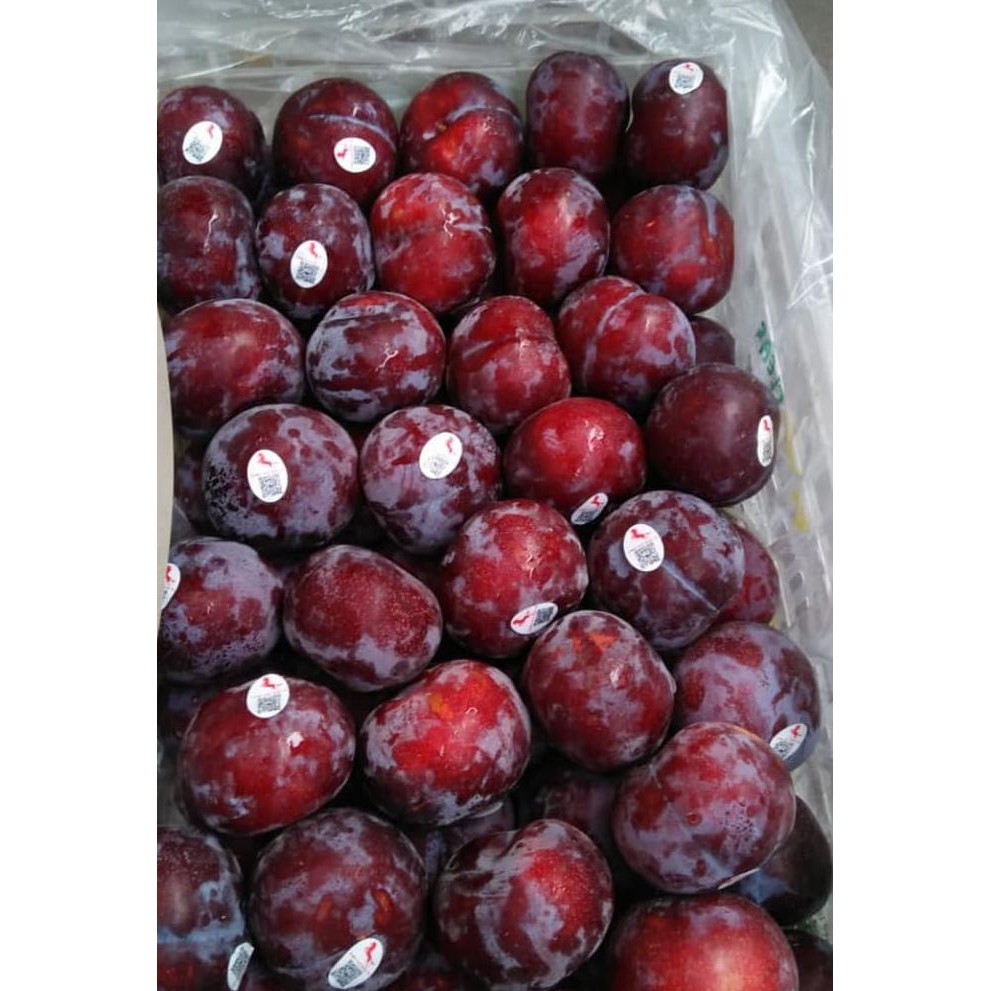 Detail Gambar Buah Plum Nomer 21