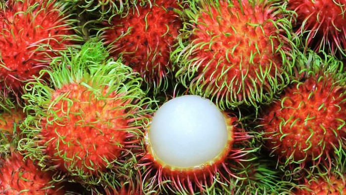 Detail Gambar Buah Rambutan Nomer 2