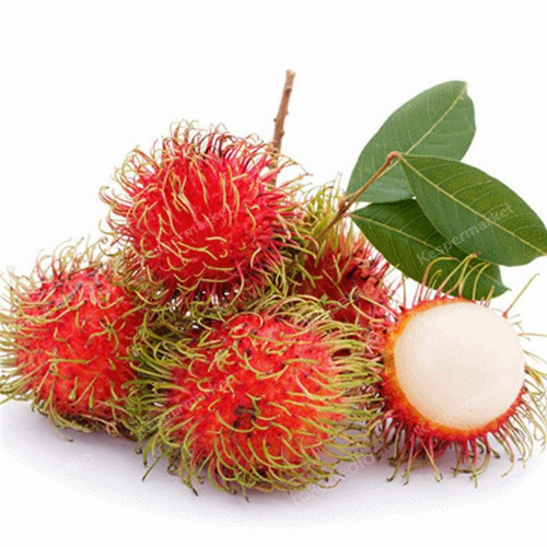 Detail Gambar Buah Rambutan Nomer 10