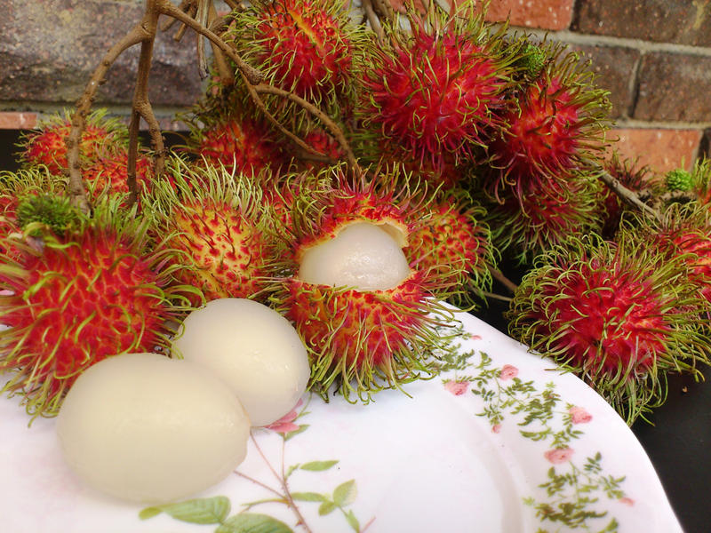 Detail Gambar Buah Rambutan Nomer 12