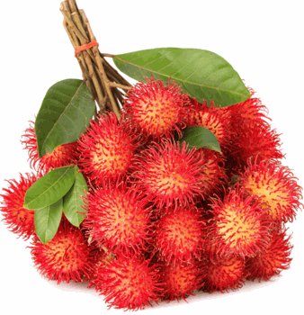 Detail Gambar Buah Rambutan Nomer 13