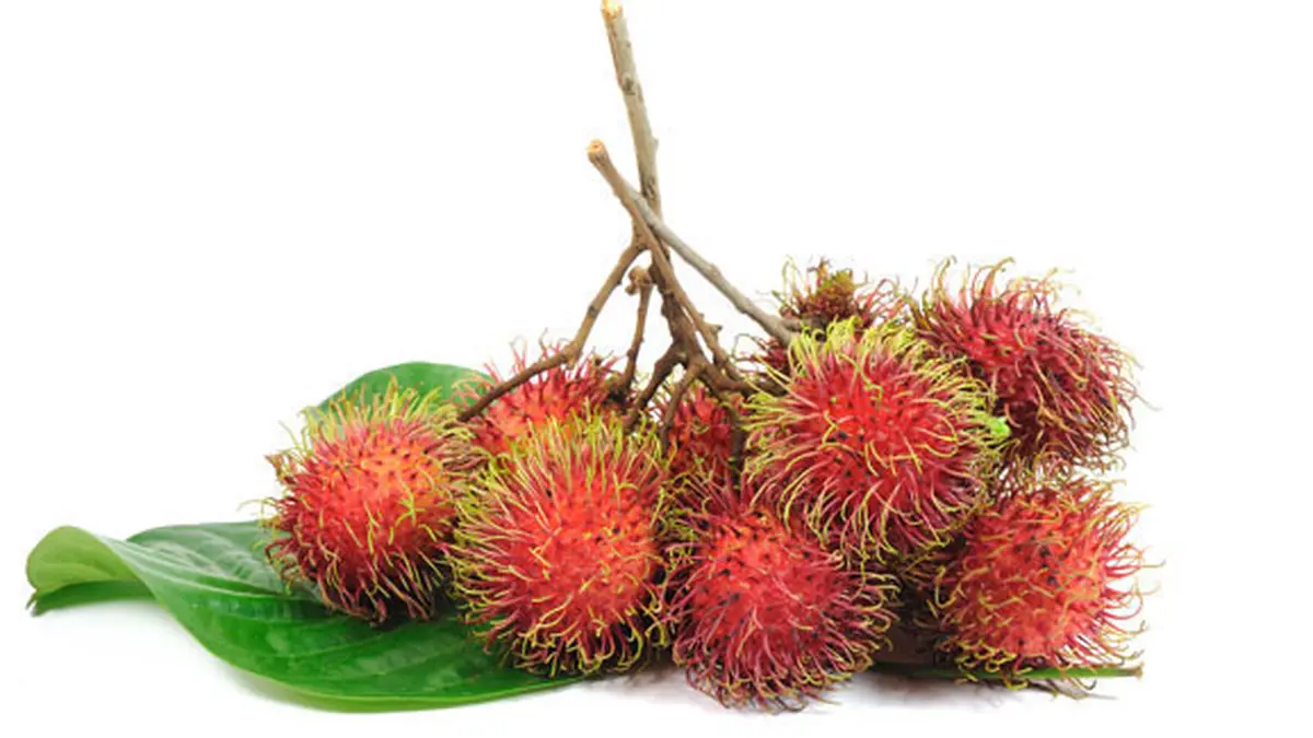 Detail Gambar Buah Rambutan Nomer 19