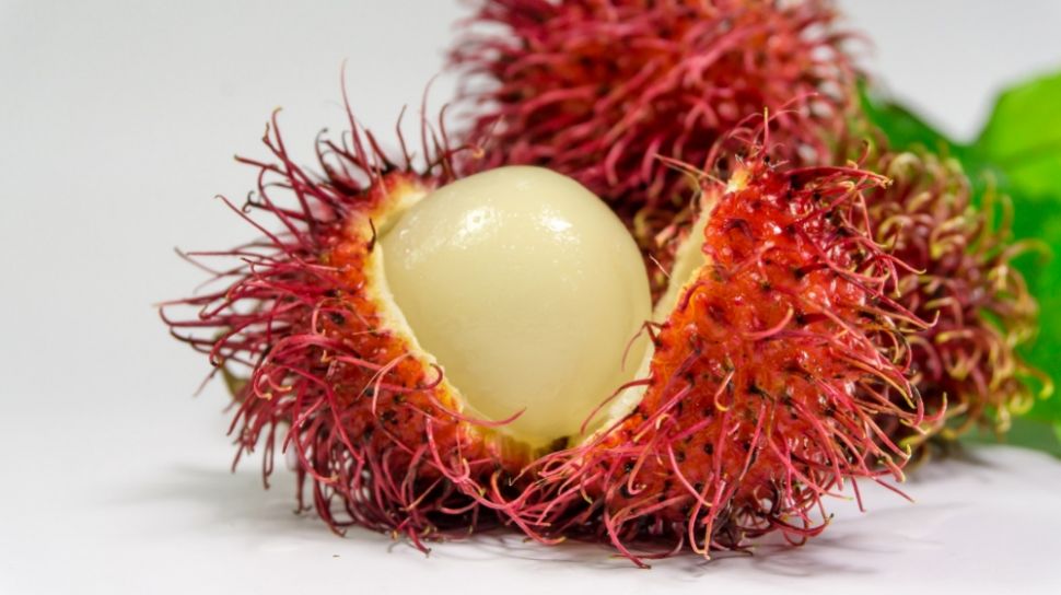 Detail Gambar Buah Rambutan Nomer 24