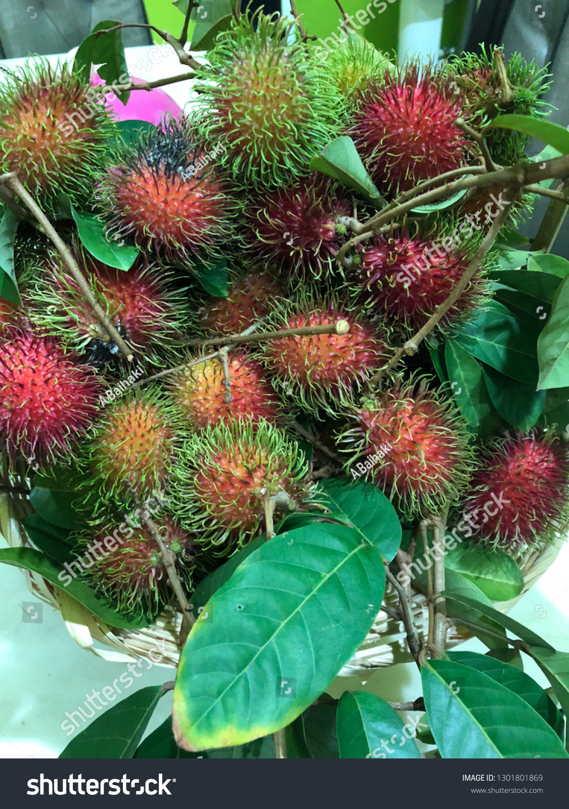 Detail Gambar Buah Rambutan Nomer 26