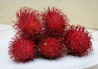 Detail Gambar Buah Rambutan Nomer 4