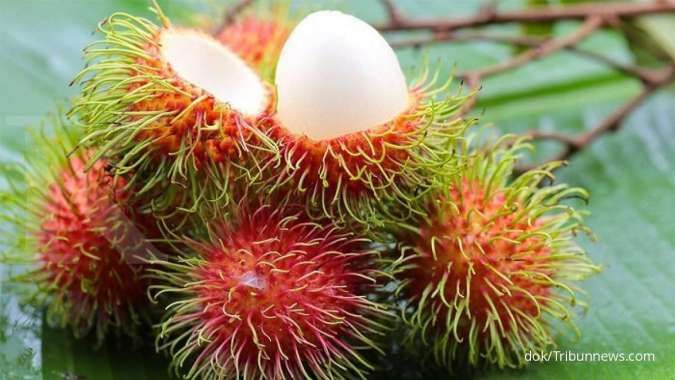 Detail Gambar Buah Rambutan Nomer 33