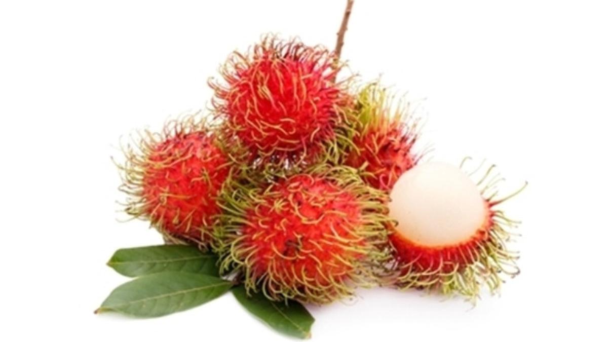 Detail Gambar Buah Rambutan Nomer 45