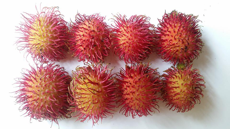 Detail Gambar Buah Rambutan Nomer 51