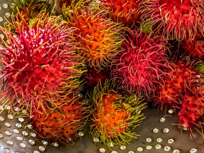 Detail Gambar Buah Rambutan Nomer 56