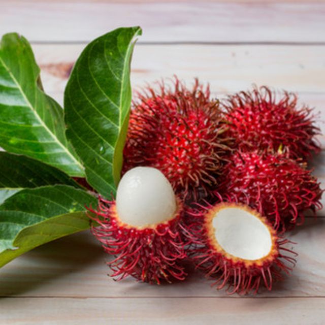 Detail Gambar Buah Rambutan Nomer 7