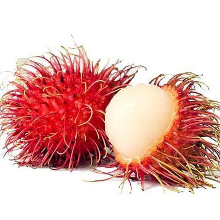 Detail Gambar Buah Rambutan Nomer 8