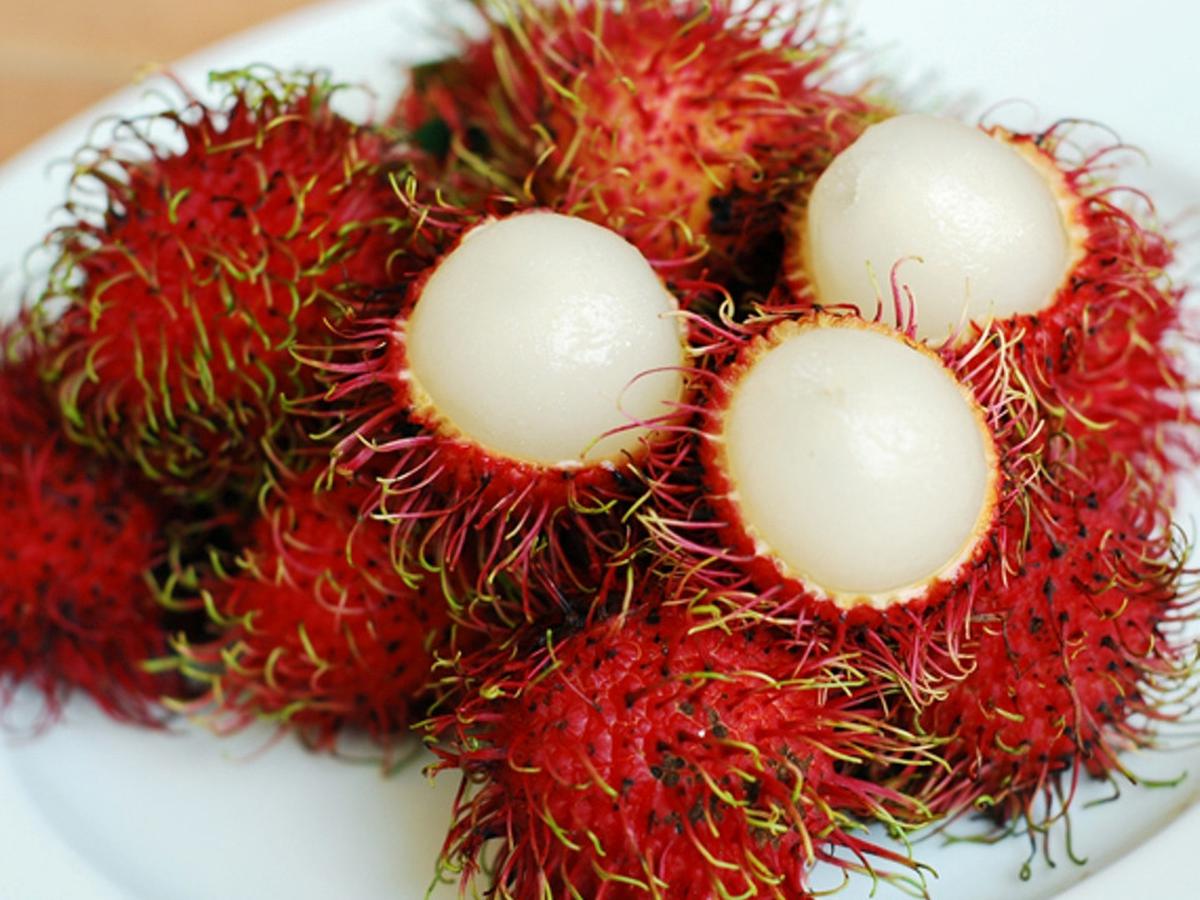 Detail Gambar Buah Rambutan Gambar Buah Anggur Nomer 14