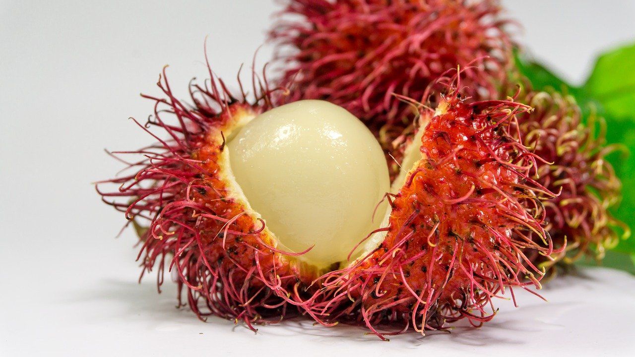 Detail Gambar Buah Rambutan Gambar Buah Anggur Nomer 18