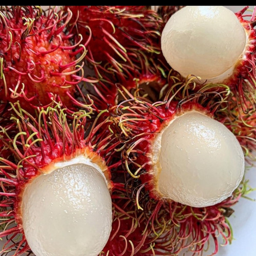 Detail Gambar Buah Rambutan Gambar Buah Anggur Nomer 19