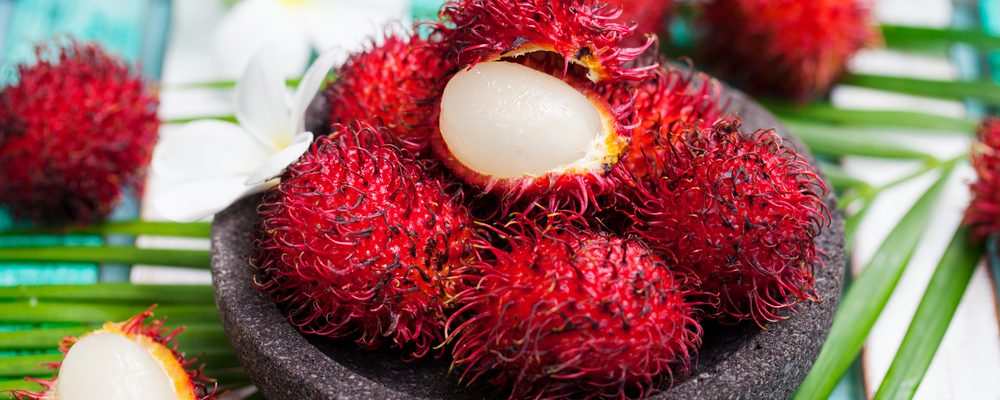 Detail Gambar Buah Rambutan Gambar Buah Anggur Nomer 26