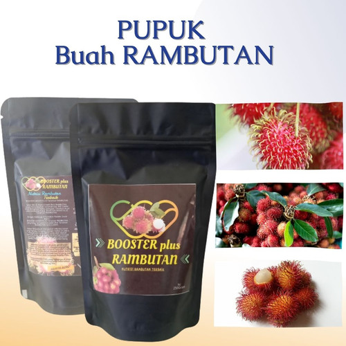 Detail Gambar Buah Rambutan Gambar Buah Anggur Nomer 54