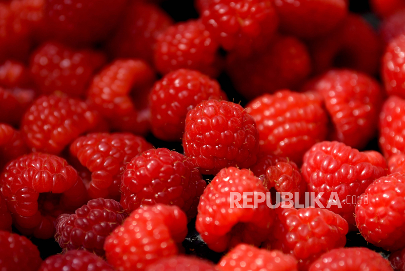 Detail Gambar Buah Raspberry Nomer 11