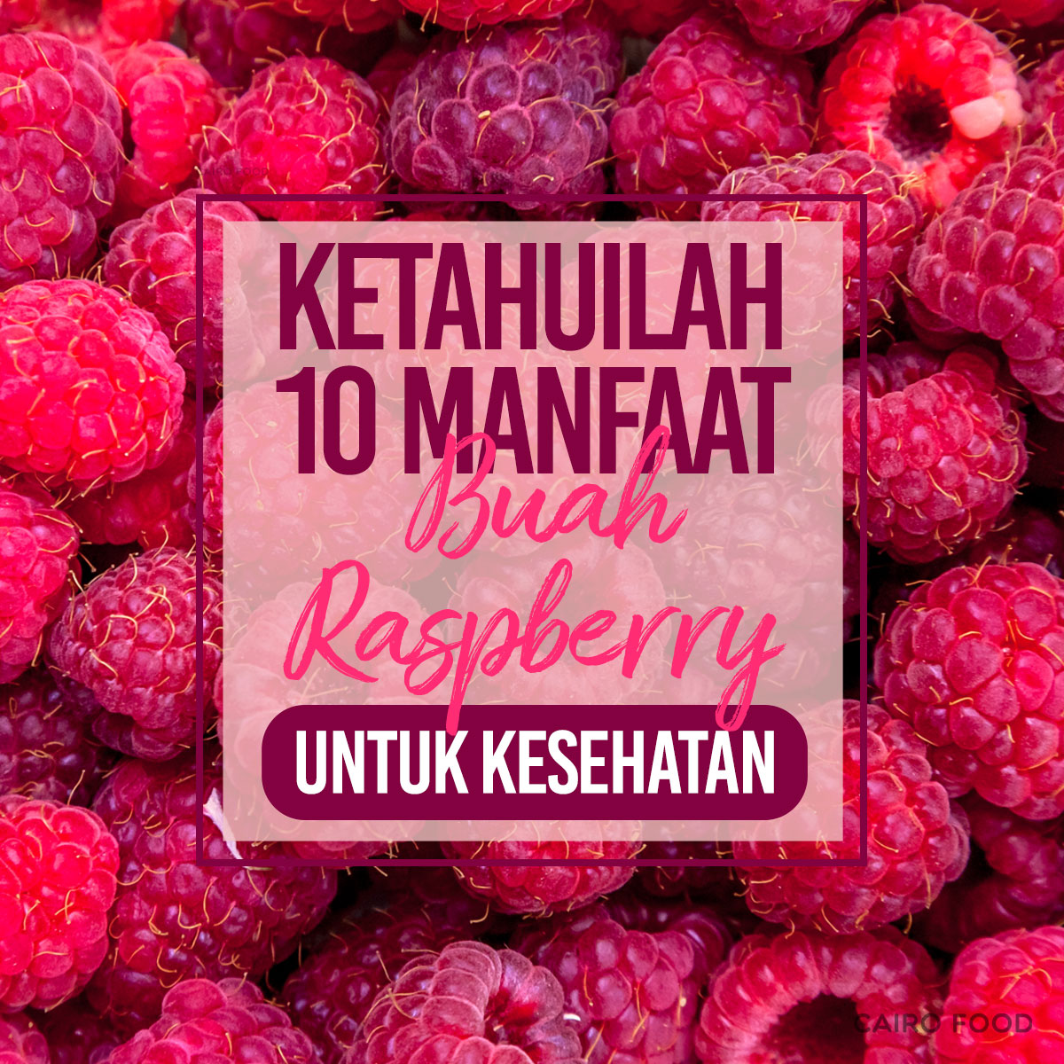 Detail Gambar Buah Raspberry Nomer 26