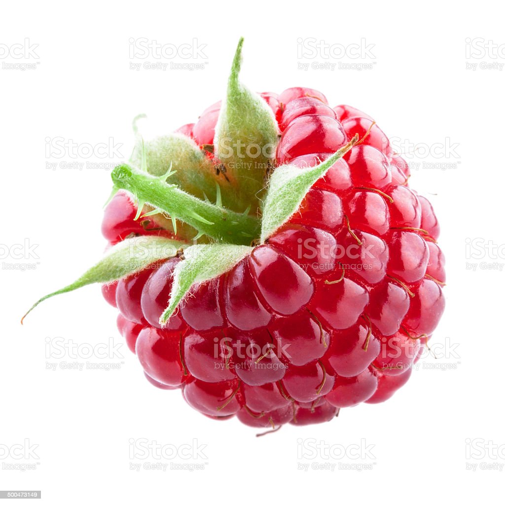 Detail Gambar Buah Raspberry Nomer 29