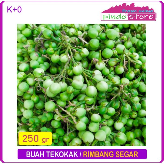 Detail Gambar Buah Rimbang Nomer 41