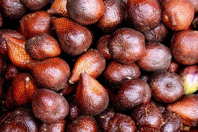 Detail Gambar Buah Salak Nomer 22