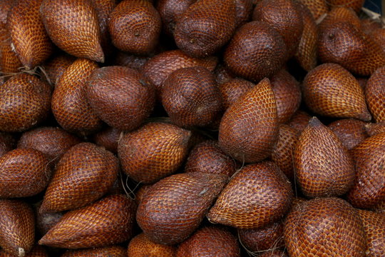 Detail Gambar Buah Salak Nomer 45