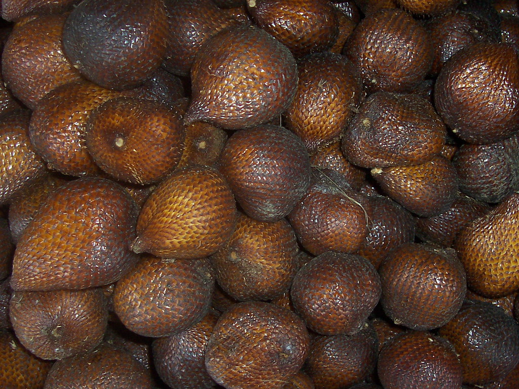 Detail Gambar Buah Salak Bali Nomer 20