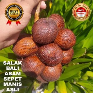 Detail Gambar Buah Salak Bali Nomer 28