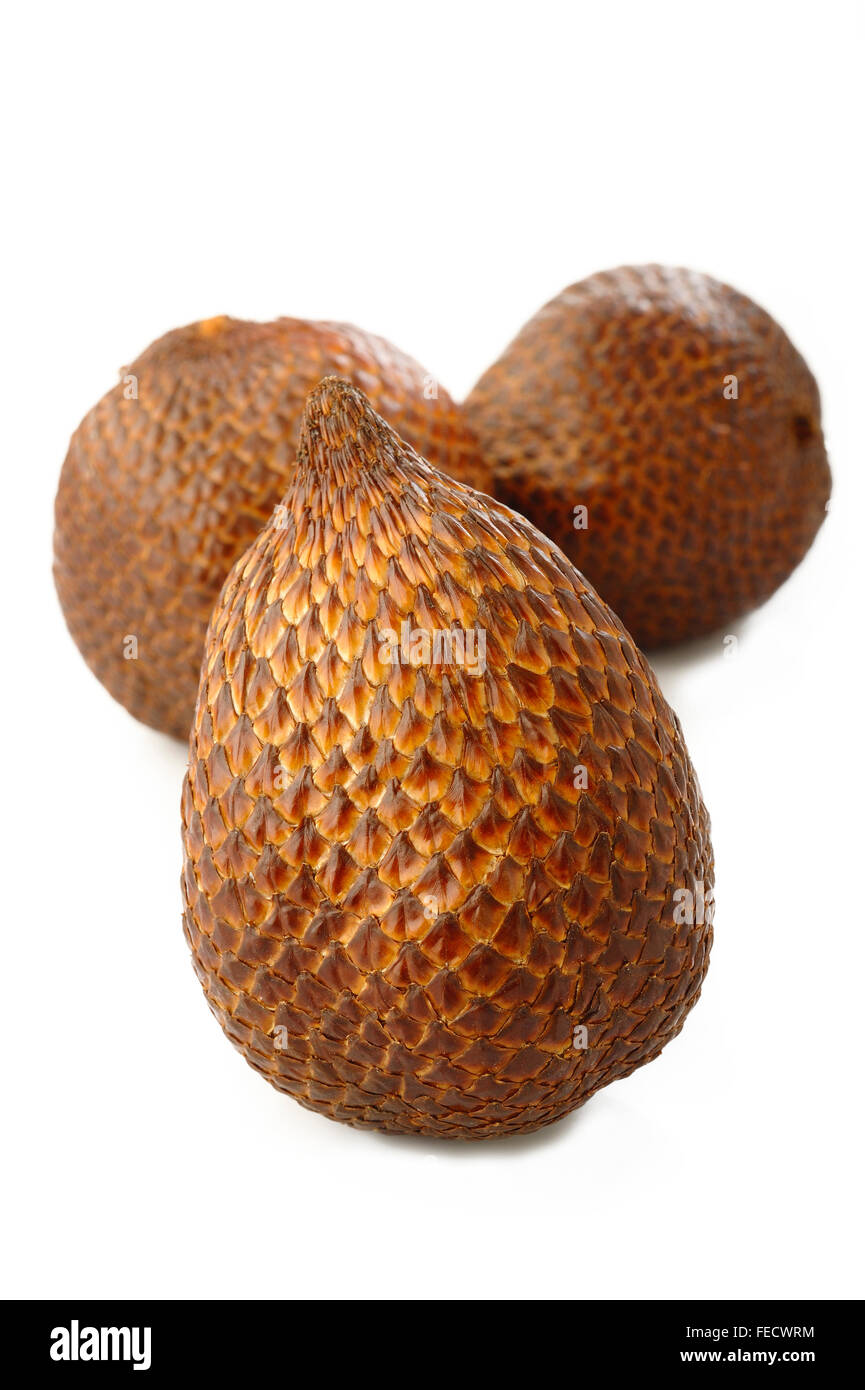 Detail Gambar Buah Salak Bali Nomer 5