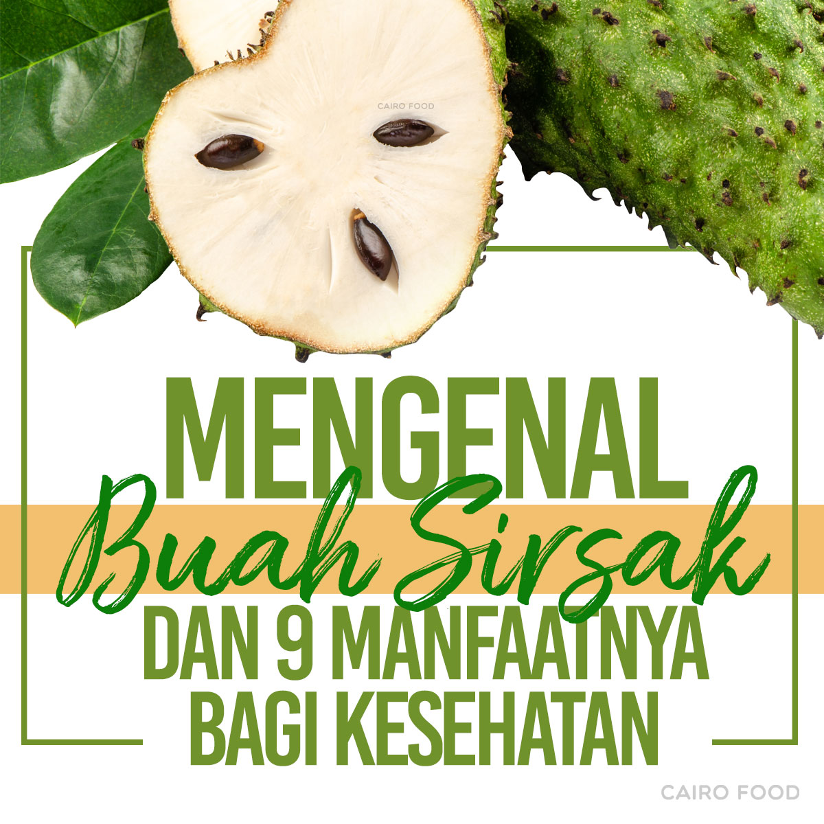 Detail Gambar Buah Sirsak Nomer 35