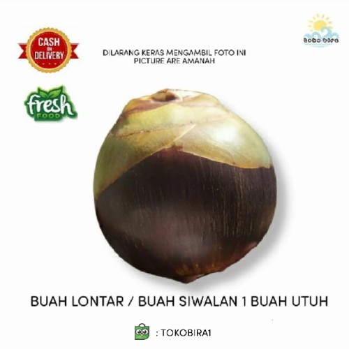 Detail Gambar Buah Siwalan Nomer 31