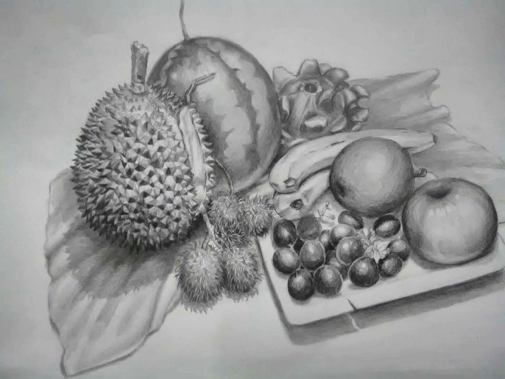 Detail Gambar Buah Sketsa Nomer 29