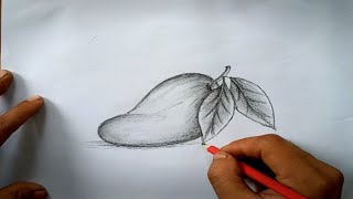 Detail Gambar Buah Sketsa Pensil Nomer 38