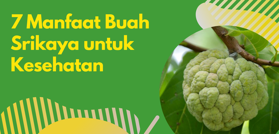 Detail Gambar Buah Srikaya Nomer 46