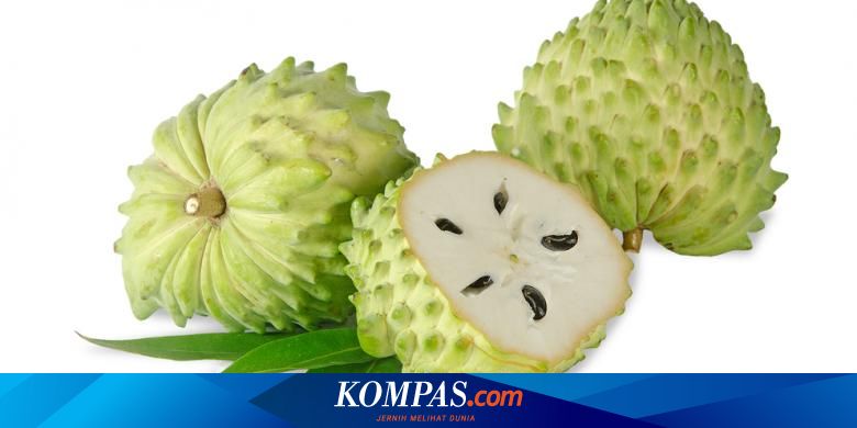 Detail Gambar Buah Srikaya Dan Sirsak Nomer 40