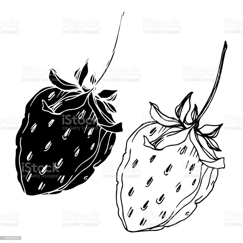 Detail Gambar Buah Strawberry Hitam Putih Nomer 32