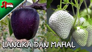 Detail Gambar Buah Strawberry Hitam Putih Nomer 50