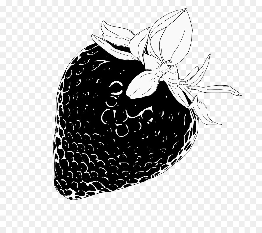 Detail Gambar Buah Strawberry Hitam Putih Nomer 53