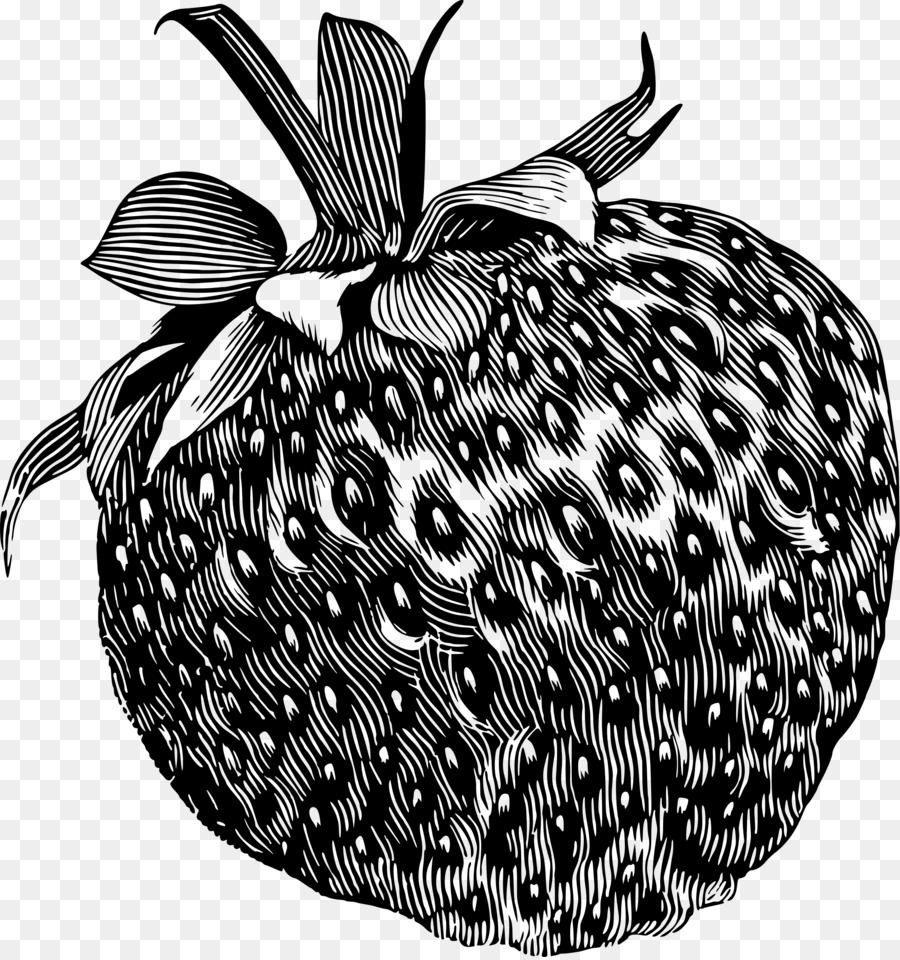 Detail Gambar Buah Strawberry Hitam Putih Nomer 55