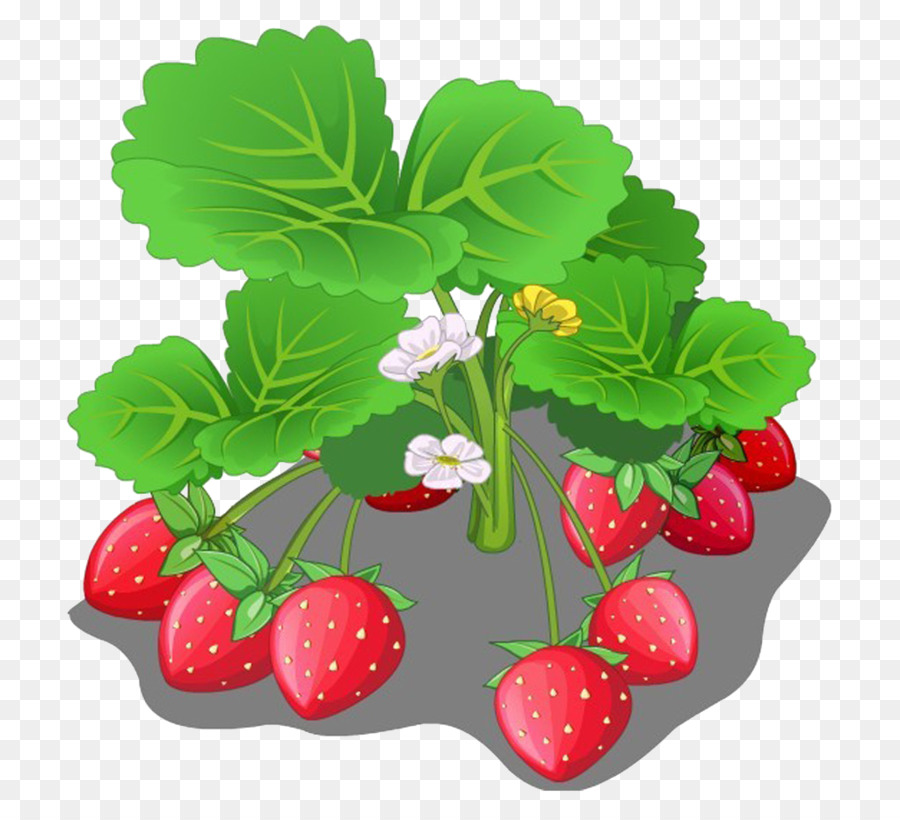 Detail Gambar Buah Stroberi Kartun Nomer 53