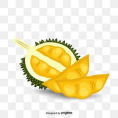 Detail Gambar Buah Vector Nomer 49