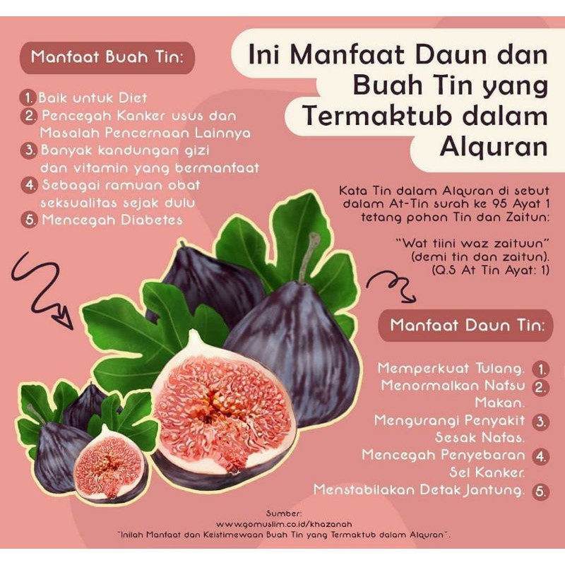 Detail Gambar Buah Yang Halal Nomer 11