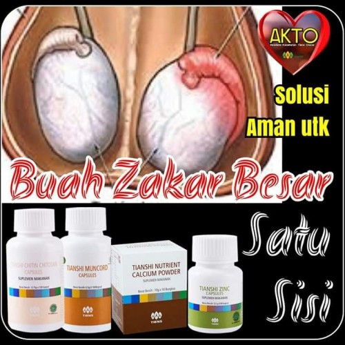 Detail Gambar Buah Zakar Nomer 53