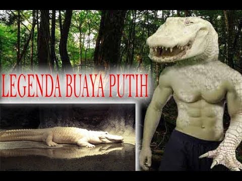 Detail Gambar Buaya Putih Nomer 56