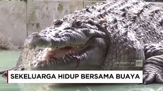 Detail Gambar Buaya Yang Ingin Diwarnai Nomer 22